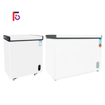 Household Freezer Factory - Compact Energy-saving Copper Tube Horizontal