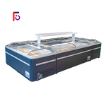 Island Freezer Factory - No Frost Multi-Functional Meat Seafood