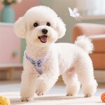 Pet Harness Set Factory - Luxury Sweet Small Dog Set