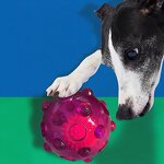 Dog Toy Ball Factory - LED Light Hollow Squeaky Toy