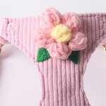 Pet Harness Set Factory - Corduroy Small Dog Cat Set