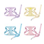 Pet Harness Set Manufacturer - Daisy Print Small Dog Set