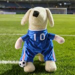 Pet Costume Manufacturer - Funny Jersey Halloween Cosplay