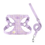 Pet Harness Set Manufacturer - Daisy Print Small Dog Set