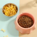 Stainless Steel Pet Bowl Factory - Double-layer Dish Plate