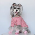 Pet Clothing Factory - Winter Padded Dog Jacket Outfits