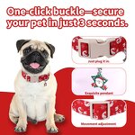 Pet Collar Factory - Christmas Collar with Leash Set