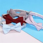 Pet Collar Factory - Plaid Print Adjustable Cat Collar