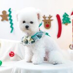 Pet Accessories Manufacturer - Christmas Bowknot Bib Collar