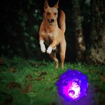 Dog Toy Ball Factory - LED Light Hollow Squeaky Toy