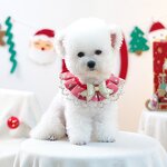 Pet Accessories Manufacturer - Christmas Bowknot Bib Collar