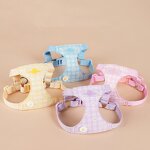 Pet Harness Set Manufacturer - Daisy Print Small Dog Set