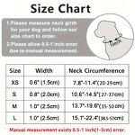 Pet Collar Factory - Christmas Collar with Leash Set