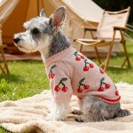 Pet Sweater Factory - Pink Cherry Pattern Jacket Supplier
