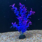 Aquatic Plants Manufacturer - 20cm Simulation Seaweed Plants
