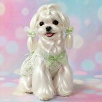 Pet Hairpin Manufacturer - Sweet Bow Headwear Accessories