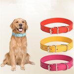 Dog Collar Manufacturer - Adjustable PU Leather Metal Buckle