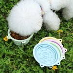 Foldable Pet Bowl Manufacturer - Portable Outdoor Travel Bowl