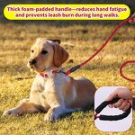 Pet Collar Factory - Christmas Collar with Leash Set