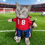 Pet Costume Manufacturer - Funny Jersey Halloween Cosplay