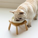 Ceramic Pet Bowl Manufacturer - Slow Feeding Elevated Bowl