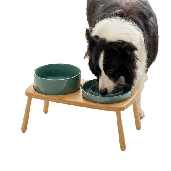 Ceramic Pet Bowl Manufacturer - Slow Feeding Elevated Bowl