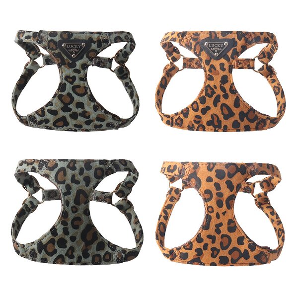 Pet Harness Vest Manufacturer - Leopard Print with Leash