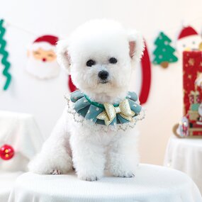 Pet Accessories Manufacturer - Christmas Bowknot Bib Collar