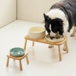 Ceramic Pet Bowl Manufacturer - Slow Feeding Elevated Bowl