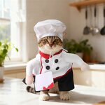 Pet Costume Manufacturer - Chef Killer Transformation Dress