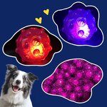 Dog Toy Ball Factory - LED Light Hollow Squeaky Toy