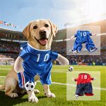 Pet Costume Manufacturer - Funny Jersey Halloween Cosplay