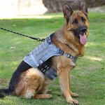 Pet Harness Manufacturer - Medium Large Dog Tactical Vest