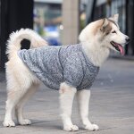 Pet Clothes Factory - 3XL-9XL Big Dog Fleece Shirt Coat
