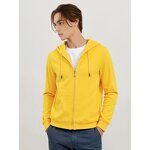 Hoodie Manufacturer - Professional Lightweight Zip Hoodie