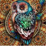 Diamond Painting Kits Factory - 5D Owl Featured Cartoon Diamond Painting