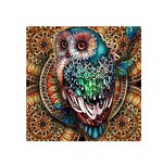 Diamond Painting Kits Factory - 5D Owl Featured Cartoon Diamond Painting