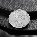 Commemorative Coin Manufacturer - Factory Price Shiny Silver Coin