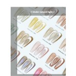 Gel Nail Polish Factory - New Design 24 Colors 9D Holographic
