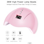 Gel Polish Kit Manufacturer - 48 Colors 19 Pcs with 36W