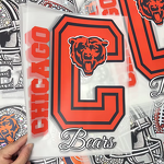 DTF Transfer Sticker Factory - Custom University Team Design