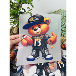 DTF Transfers Manufacturer - Wholesale Full Color Plastisol Transfer