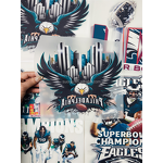 NFL DTF Heat Transfer Factory - High Quality Plastisol Printed