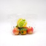 Fruit Protection Bag Factory - Custom Plastic Perforated Resealable Pouch