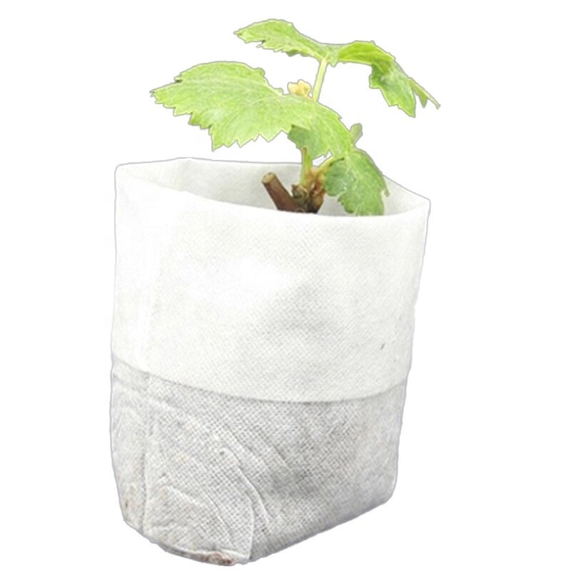 Seedling Bag Factory - Biodegradable Breathable Non Woven Fabric Bag