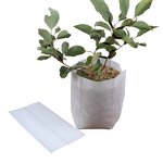 Grow Bag Manufacturer - Biodegradable Non-woven Fabric Plant Pots