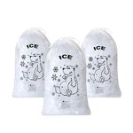 Plastic Ice Bag Factory - Custom Logo Thick Packaging Storage Bag