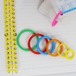 Binder Rings Factory - Wholesale Double-Clip Plastic Loose Leaf