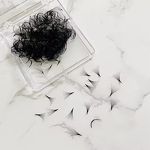 Premade Lash Fans Factory - Matte Black Loose Base 500 Fans