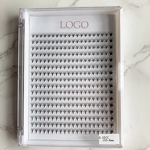 10D Premade Lash Fans Factory - High Quality 0.05 CC